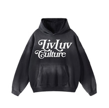 Load image into Gallery viewer, Vintage logo hoodie